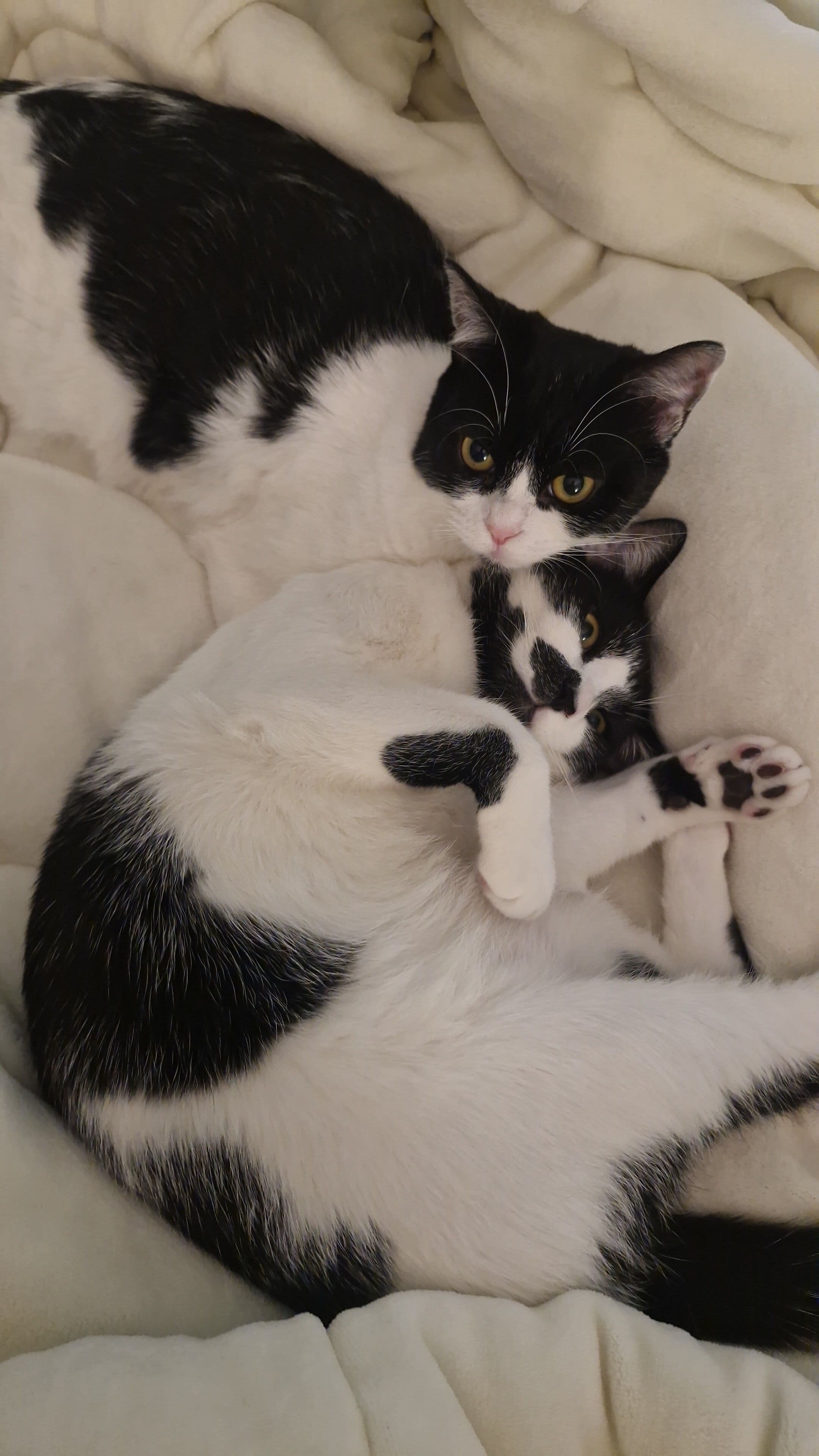 Proof of ownership